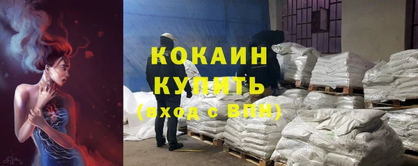 Альфа ПВП Верея